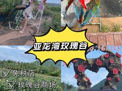 -亚龙湾国际玫瑰谷