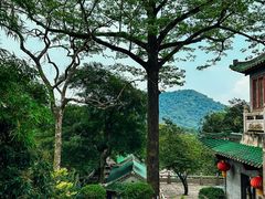 -鼎湖山风景区