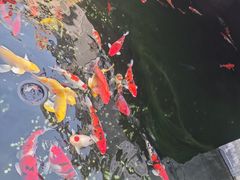 -长春观