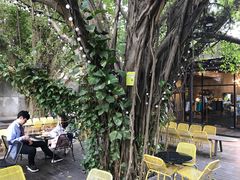 -莓园冰淇淋店