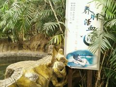 -龙达温泉生态城