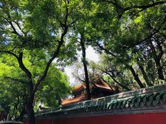 -北京国子监胡同