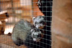 -酷嗒动物文化乐园(cutezoo西溪乐天城店)