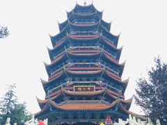 -铁山坪森林公园