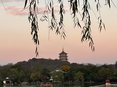 -家烧面馆【南山路知名经典面食】