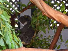 -费瑟代尔野生动物园