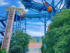 -苏州乐园森林水世界