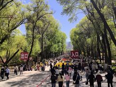 -西宁市人民公园(城西区)