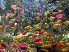 -双季花艺园艺市场(浦东店)