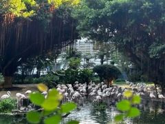 -九龙公园