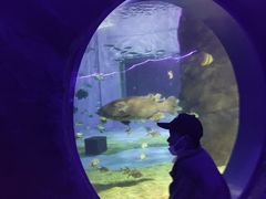 -北戴河圣蓝海洋公园