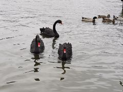 -粤湘情(珠海海泉湾店)