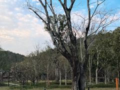 -南北湖风景区