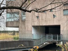 -上海滨江森林公园