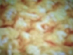 -育华篮球培训(新华路校区)