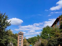 -铁山坪森林公园