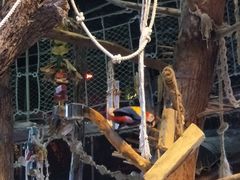 -迪拜水族馆及水下动物园
