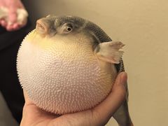 -永安鱼庄·镇江菜(东吴路店)