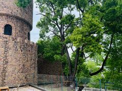 -J Create城市露营咖啡·简餐·宠物(上海动物园店)