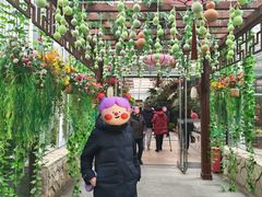 -春满园生态餐厅(南宫路店)
