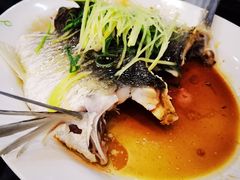 -红星光发煲仔饭(文海店)