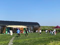 -美家乐农庄·露营·团建(大治路店)