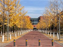 -东北大学(南湖校区)