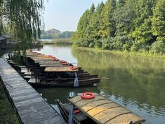 -溱湖国家湿地公园