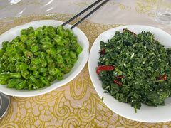 -特种渔场