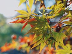 -中山公园