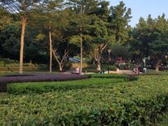 -天河儿童公园