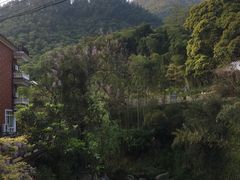 -山沟沟景区