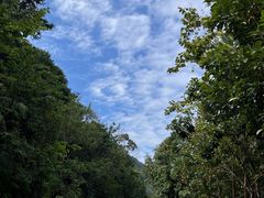 -广州白江湖森林公园