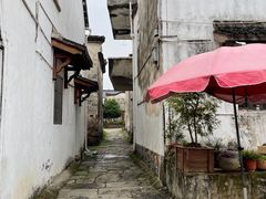 -东梓关景区村庄
