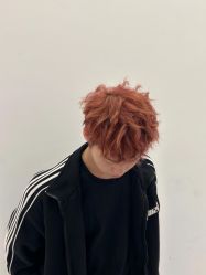 -YESIDO椰岛造型
