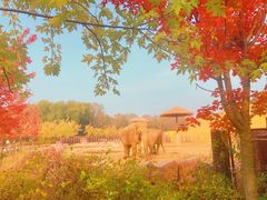-沈阳森林动物园