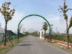 -菊园百果园