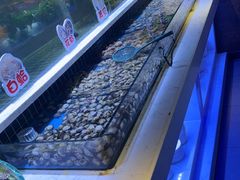 -聚盛源蒸汽海鲜火锅烤肉自助(巨川金海岸购物广场店)