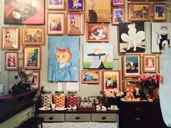 -猫咪博物馆(顶澳仔猫街店)