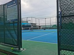 -君成体育|网球培训(蛇口校区)