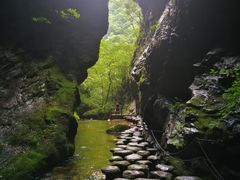 -牛背梁国家森林公园