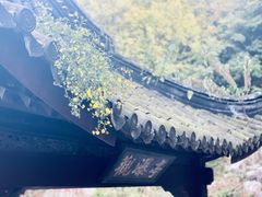 -陶祖圣境风景区