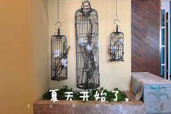 点击看大图 -星港国际·Skin皮肤专研·皮肤管理