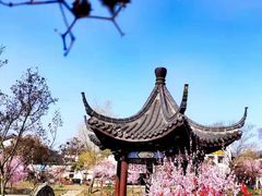 -石塘人家