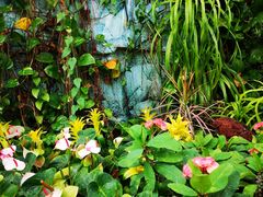 -北京植物园-展览温室