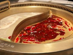 -麻路成都火锅(柏威年店)