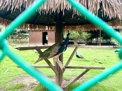 -泗洪洪泽湖湿地景区