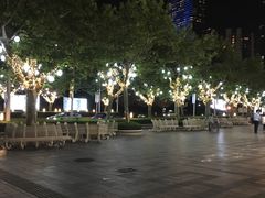 -上海波特曼丽思卡尔顿酒店