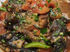 -生态苑农庄(十里画廊遇龙河店)