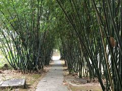 -福建鲤鱼洲酒店